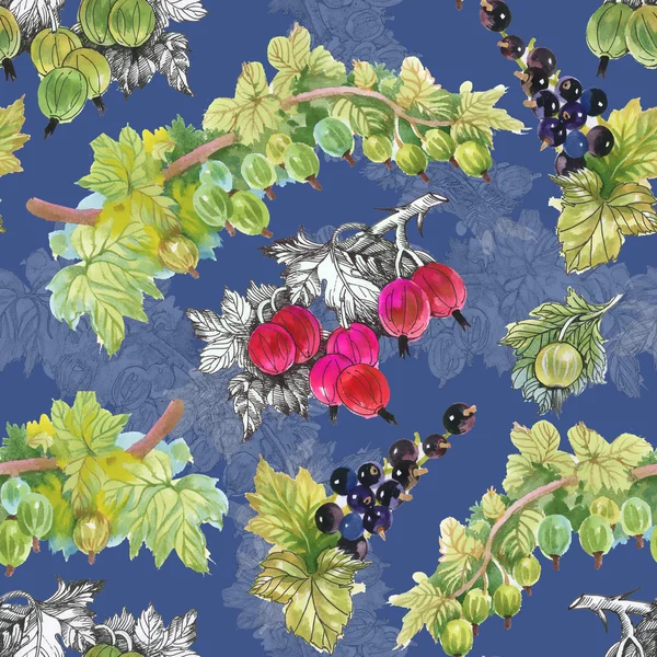 Olgun Frenk üzümü ve bektaşi desen