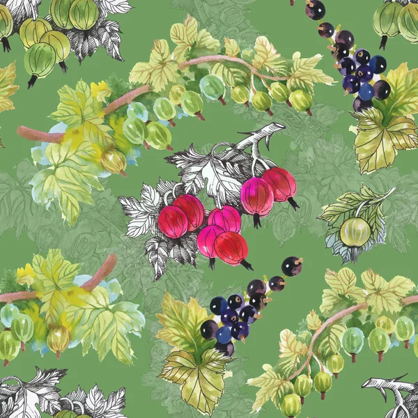 Olgun Frenk üzümü ve bektaşi desen