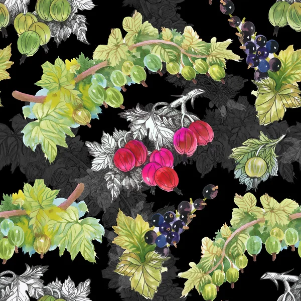 Olgun Frenk üzümü ve bektaşi desen