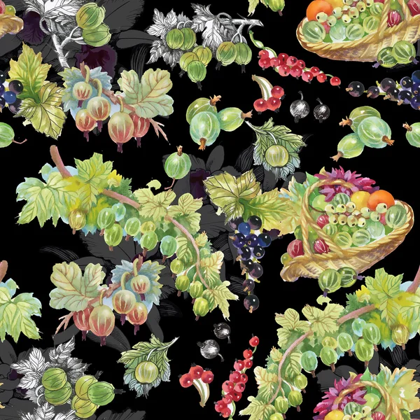 Mogna vinbär och krusbär mönster — Stockfoto