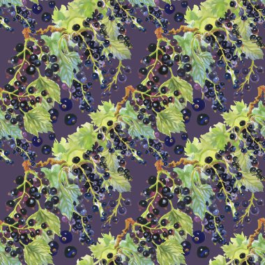 Blackcurrant çilek deseni