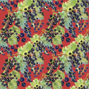 Blackcurrant çilek deseni