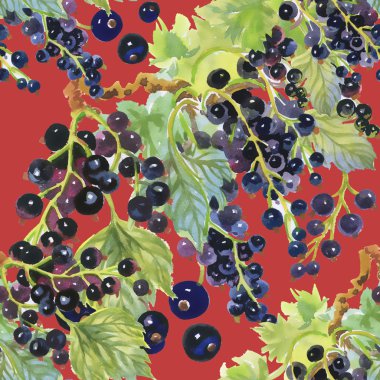 Blackcurrant çilek deseni