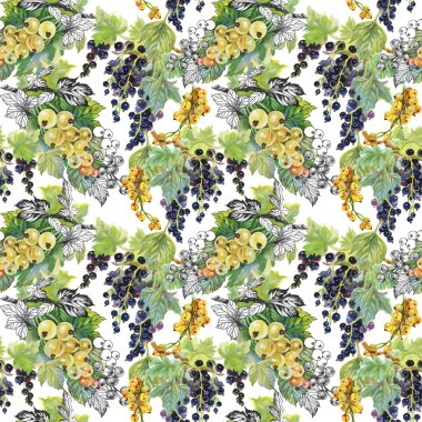 Olgun Frenk üzümü ve bektaşi desen