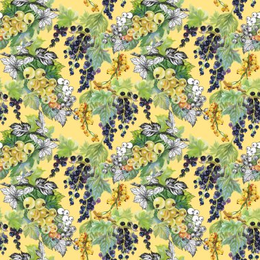 Olgun Frenk üzümü ve bektaşi desen