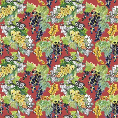 Olgun Frenk üzümü ve bektaşi desen