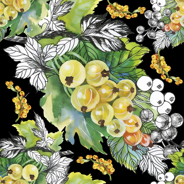 Ripe summer gooseberries — Stock Photo, Image