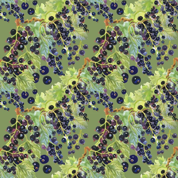 Blackcurrant berries pattern — Stock Photo, Image