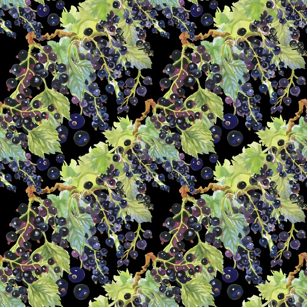 Blackcurrant berries pattern — Stock Photo, Image