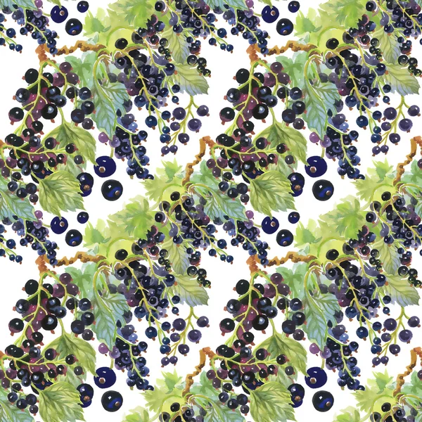 Blackcurrant berries pattern — Stock Photo, Image