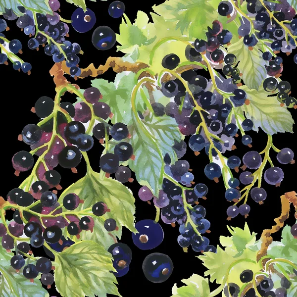 Blackcurrant berries pattern — Stock Photo, Image