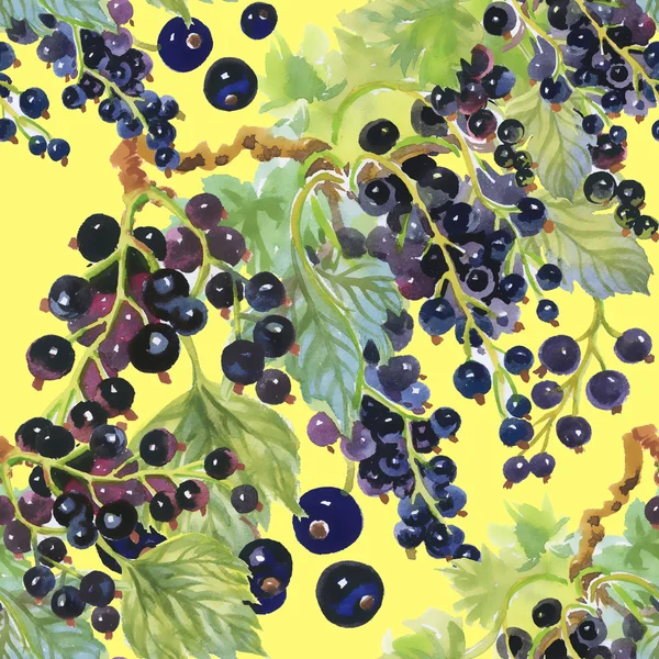 Blackcurrant berries pattern — Stock Photo, Image