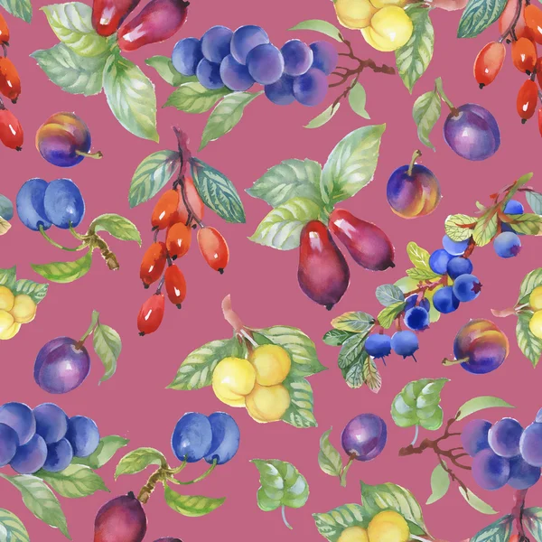 Summer berries pattern — Stock Photo, Image