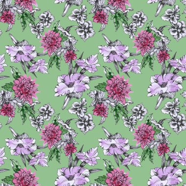 Yaz Bahçe çiçek açan çiçekler