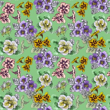 Yaz Bahçe çiçek açan çiçekler