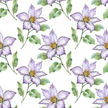 Yaz çayır çiçek açan çiçekler