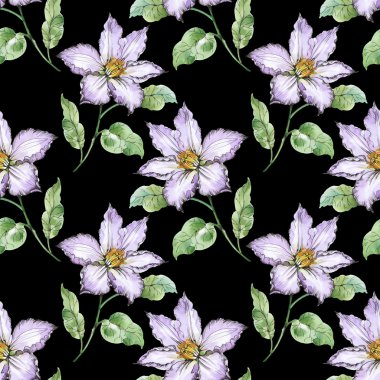 Yaz çayır çiçek açan çiçekler