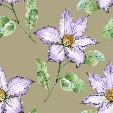 Yaz çayır çiçek açan çiçekler