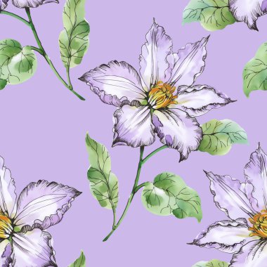 Yaz çayır çiçek açan çiçekler