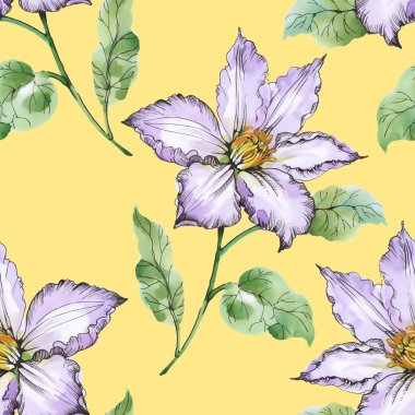 Yaz çayır çiçek açan çiçekler