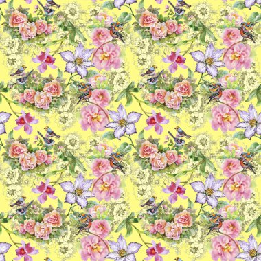 Yaz çayır çiçek açan çiçekler ve kuşlar