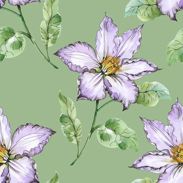 Yaz çayır çiçek açan çiçekler