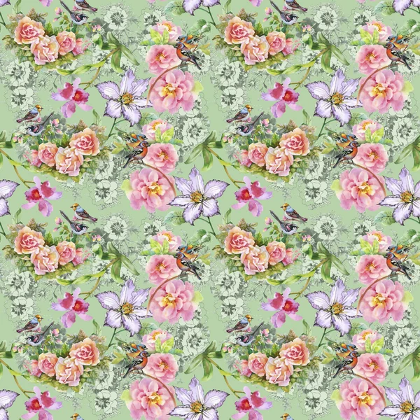 Yaz çayır çiçek açan çiçekler ve kuşlar