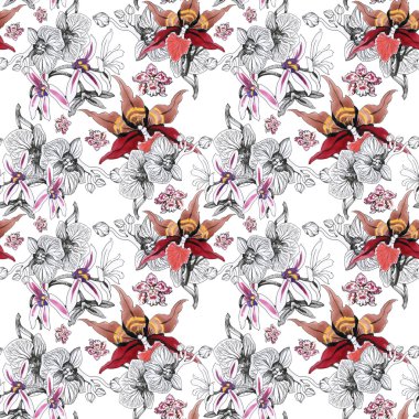 Orkide çiçek çiçeklenme