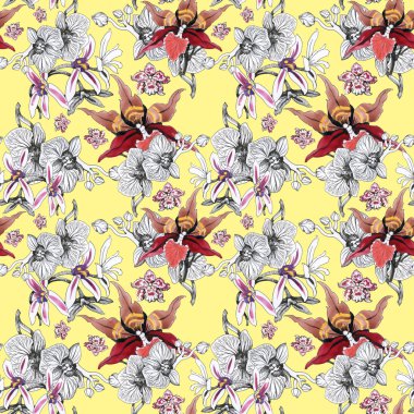 Orkide çiçek çiçeklenme