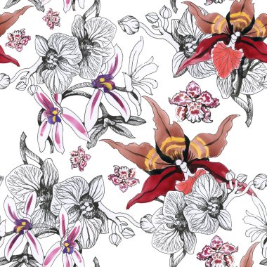 Orkide çiçek çiçeklenme