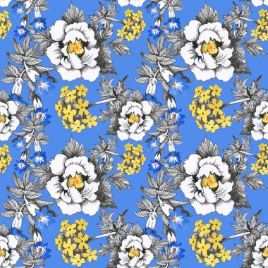 Yaz çayır çiçek açan çiçekler