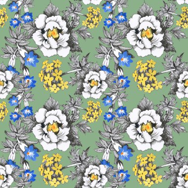 Yaz çayır çiçek açan çiçekler