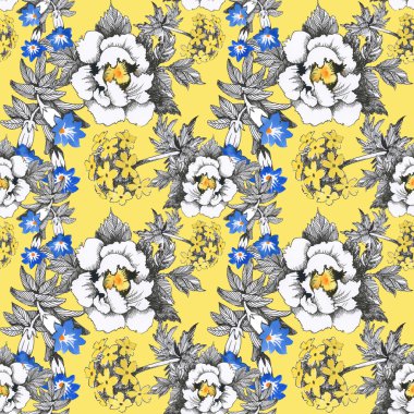 Yaz çayır çiçek açan çiçekler