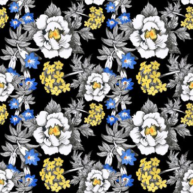 Yaz çayır çiçek açan çiçekler