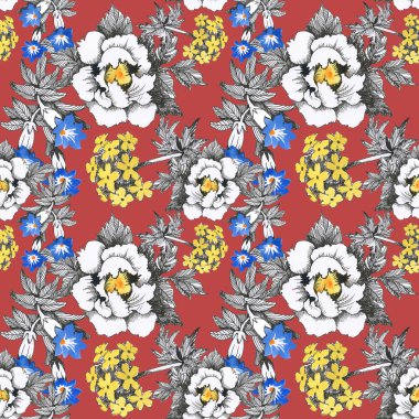 Yaz çayır çiçek açan çiçekler