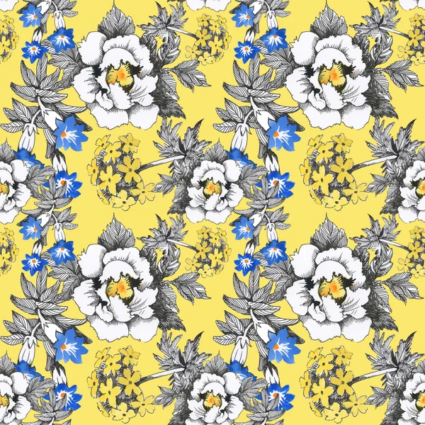 Yaz çayır çiçek açan çiçekler