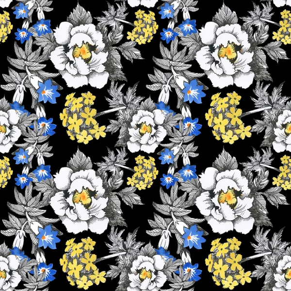 Yaz çayır çiçek açan çiçekler