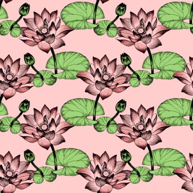 Nilüfer çiçekleri gölet üzerinde