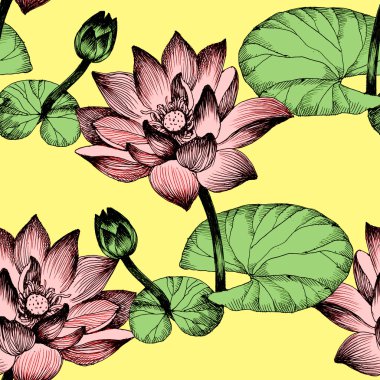 Nilüfer çiçekleri gölet üzerinde