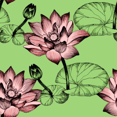 Nilüfer çiçekleri gölet üzerinde