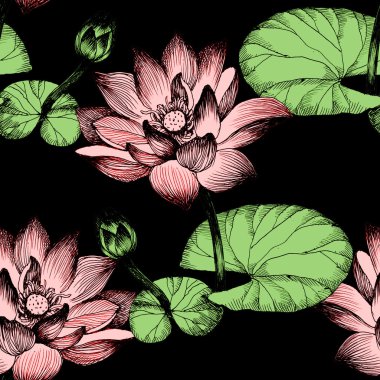 Nilüfer çiçekleri gölet üzerinde