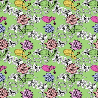 Nilüfer çiçekleri gölet üzerinde