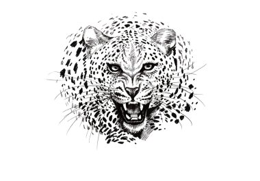 kızgın leopar namlu