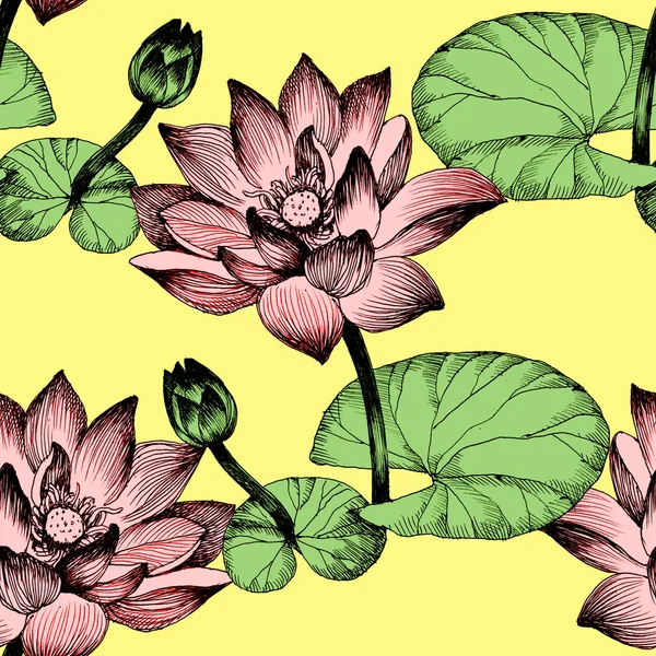 Nilüfer çiçekleri gölet üzerinde