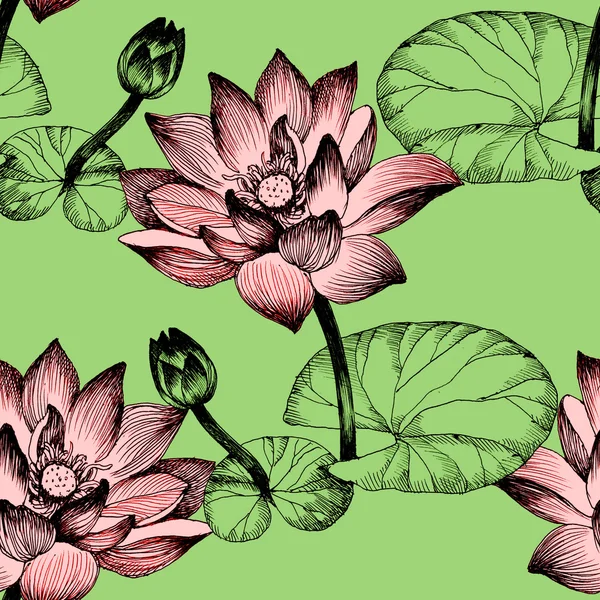 Nilüfer çiçekleri gölet üzerinde