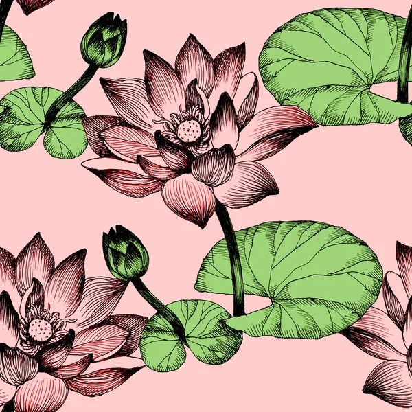 Nilüfer çiçekleri gölet üzerinde