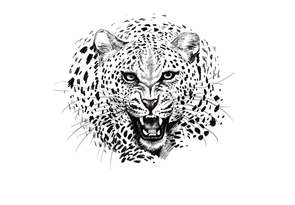 Wütende Leopardenschnauze — Stockfoto