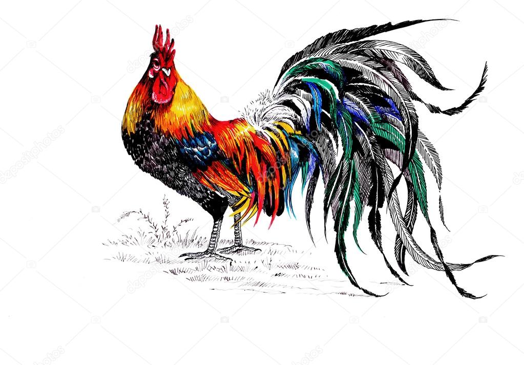 farm rooster pattern