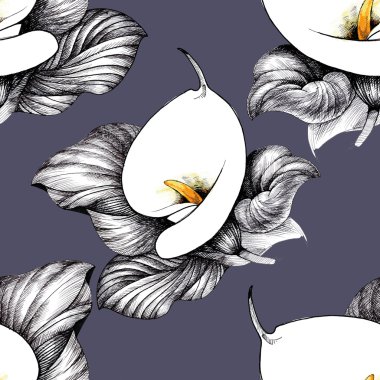 Calla Lily çiçek arka plan