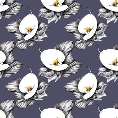 Calla Lily çiçek arka plan